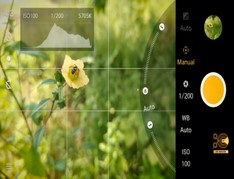 7-Mobile-Photography-Tips-&-Tricks!