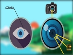 Camera-Basics-Aperture