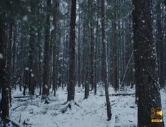 Create Realistic Snow! After Effects Tutorial