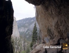 How-to-Achieve-Cinematic-Color-Grading-For-Your-Films!