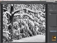 SNOW-PHOTOGRAPHY-TUTORIAL-10-Tips-For-The-Best-Winter-Photos